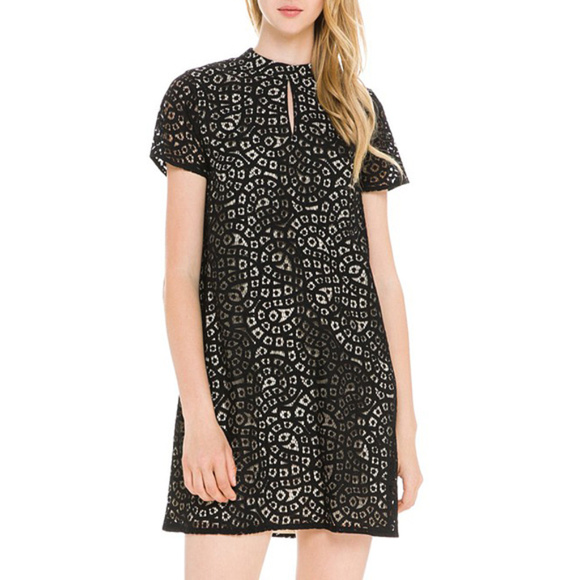Lace Short Sleeve Tunic Shift Dress - Picture 1 of 5